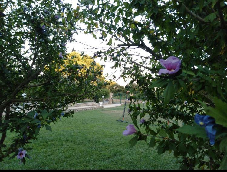 Favoloso Appartamento In Villa Monterosi Exteriör bild