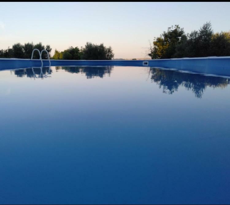 Favoloso Appartamento In Villa Monterosi Exteriör bild