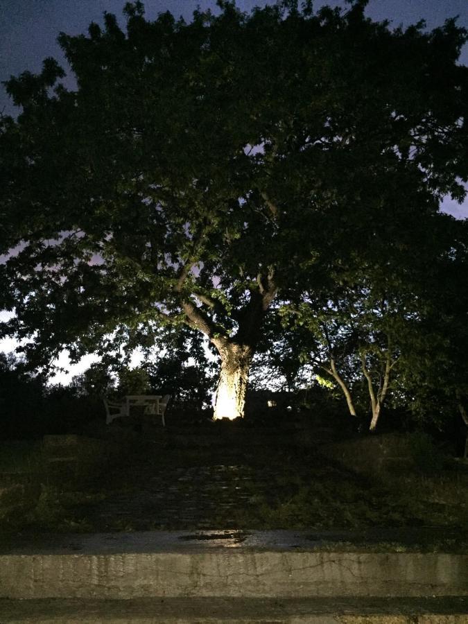 Favoloso Appartamento In Villa Monterosi Exteriör bild