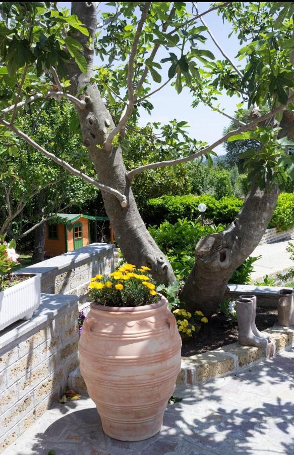 Favoloso Appartamento In Villa Monterosi Exteriör bild